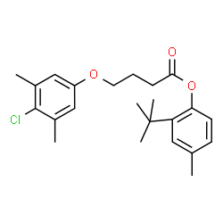 ChemSpider 2D Image | 2-tert-Butyl-4-methylphenyl 4-(4-chloro-3,5-dimethylphenoxy)butanoate | C23H29ClO3