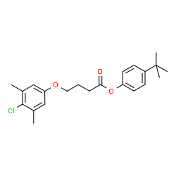 ChemSpider 2D Image | 4-tert-Butylphenyl 4-(4-chloro-3,5-dimethylphenoxy)butanoate | C22H27ClO3