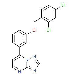 ChemSpider 2D Image | 7-{3-[(2,4-Dichlorobenzyl)oxy]phenyl}[1,2,4]triazolo[1,5-a]pyrimidine | C18H12Cl2N4O