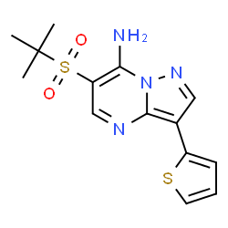 ChemSpider 2D Image | 6-[(2-Methyl-2-propanyl)sulfonyl]-3-(2-thienyl)pyrazolo[1,5-a]pyrimidin-7-amine | C14H16N4O2S2