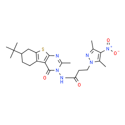 ChemSpider 2D Image | 3-(3,5-Dimethyl-4-nitro-1H-pyrazol-1-yl)-N-[2-methyl-7-(2-methyl-2-propanyl)-4-oxo-5,6,7,8-tetrahydro[1]benzothieno[2,3-d]pyrimidin-3(4H)-yl]propanamide | C23H30N6O4S