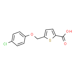 ChemSpider 2D Image | 5-(4-chlorophenoxymethyl)thiophene-2-carboxylic acid | C12H9ClO3S