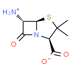 ChemSpider 2D Image | (2R,5R,6S)-6-Ammonio-3,3-dimethyl-7-oxo-4-thia-1-azabicyclo[3.2.0]heptane-2-carboxylate | C8H12N2O3S