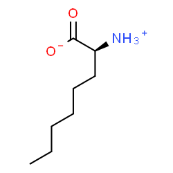 ChemSpider 2D Image | S-CAPRYLINE | C8H17NO2