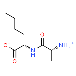 ChemSpider 2D Image | (2S)-2-{[(2R)-2-Ammoniopropanoyl]amino}hexanoate | C9H18N2O3