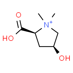 ChemSpider 2D Image | (2S,4S)-2-Carboxy-4-hydroxy-1,1-dimethylpyrrolidinium | C7H14NO3