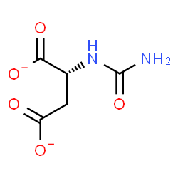 ChemSpider 2D Image | (2R)-2-(Carbamoylamino)succinate | C5H6N2O5