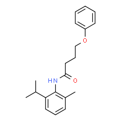 ChemSpider 2D Image | N-(2-Isopropyl-6-methylphenyl)-4-phenoxybutanamide | C20H25NO2