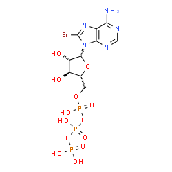 ChemSpider 2D Image | 8-Bromo-9-[5-O-(hydroxy{[hydroxy(phosphonooxy)phosphoryl]oxy}phosphoryl)-beta-D-arabinofuranosyl]-9H-purin-6-amine | C10H15BrN5O13P3