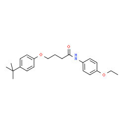 ChemSpider 2D Image | 4-(4-tert-butylphenoxy)-N-(4-ethoxyphenyl)butanamide | C22H29NO3