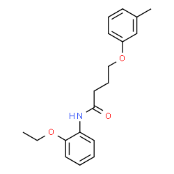 ChemSpider 2D Image | N-(2-Ethoxyphenyl)-4-(3-methylphenoxy)butanamide | C19H23NO3