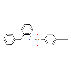 ChemSpider 2D Image | N-(2-Benzylphenyl)-4-(2-methyl-2-propanyl)benzenesulfonamide | C23H25NO2S
