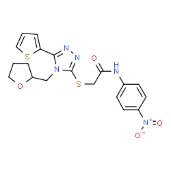 ChemSpider 2D Image | N-(4-Nitrophenyl)-2-{[4-(tetrahydro-2-furanylmethyl)-5-(2-thienyl)-4H-1,2,4-triazol-3-yl]sulfanyl}acetamide | C19H19N5O4S2
