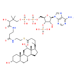 ChemSpider 2D Image | S-{(9R)-1-[(2R,3S,4R,5R)-5-(6-Amino-9H-purin-9-yl)-4-hydroxy-3-(phosphonooxy)tetrahydro-2-furanyl]-3,5,9-trihydroxy-8,8-dimethyl-3,5-dioxido-10,14-dioxo-2,4,6-trioxa-11,15-diaza-3lambda~5~,5lambda~5~-
diphosphaheptadecan-17-yl} (4R)-4-[(3R,5R,8R,9S,10S,12S,13R,14S,17R)-3,12-dihydroxy-10,13-dimethylhexadecahydro-1H-cyclopenta[a]phenanthren-17-yl]pentanethioate (non-preferred name) | C45H74N7O19P3S