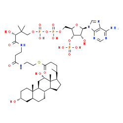 ChemSpider 2D Image | S-{(9R)-1-[(2R,3S,4R,5R)-5-(6-Amino-9H-purin-9-yl)-4-hydroxy-3-(phosphonooxy)tetrahydro-2-furanyl]-3,5,9-trihydroxy-8,8-dimethyl-3,5-dioxido-10,14-dioxo-2,4,6-trioxa-11,15-diaza-3lambda~5~,5lambda~5~-
diphosphaheptadecan-17-yl} (4R)-4-[(3R,5S,8R,9S,10S,12S,13R,14S,17R)-3,12-dihydroxy-10,13-dimethylhexadecahydro-1H-cyclopenta[a]phenanthren-17-yl]pentanethioate (non-preferred name) | C45H74N7O19P3S