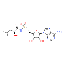 ChemSpider 2D Image | 5'-O-{[(2S)-2-Hydroxy-4-methylpentanoyl]sulfamoyl}adenosine | C16H24N6O8S
