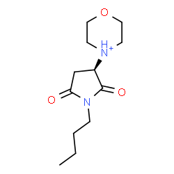 ChemSpider 2D Image | 4-[(3R)-1-Butyl-2,5-dioxo-3-pyrrolidinyl]morpholin-4-ium | C12H21N2O3
