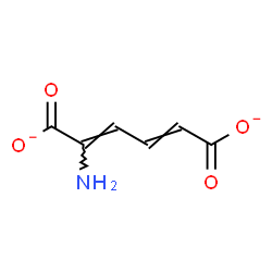 ChemSpider 2D Image | (2Z,4E)-2-Amino-2,4-hexadienedioate | C6H5NO4