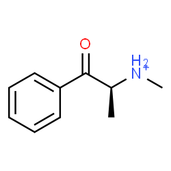 ChemSpider 2D Image | (2S)-N-Methyl-1-oxo-1-phenyl-2-propanaminium | C10H14NO