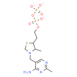 ChemSpider 2D Image | Diphosphoric acid, mono[2-[3-[(4-amino-2-methyl-5-pyrimidinyl)methyl]-4-methyl-5-thiazolidinyl]ethyl] ester, ion(3-) | C12H19N4O7P2S