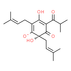 ChemSpider 2D Image | (6R)-3,6-Dihydroxy-4-isobutyryl-2,6-bis(3-methyl-2-buten-1-yl)-5-oxo-1,3-cyclohexadien-1-olate | C20H27O5
