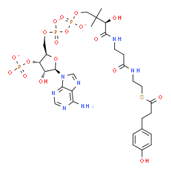 ChemSpider 2D Image | Adenosine, 5'-O-[hydroxy[[hydroxy[(3R)-3-hydroxy-4-[[3-[[2-[[3-(4-hydroxyphenyl)-1-oxopropyl]thio]ethyl]amino]-3-oxopropyl]amino]-2,2-dimethyl-4-oxobutoxy]phosphinyl]oxy]phosphinyl]-, 3'-(dihydrogen p
hosphate), ion(4-) | C30H40N7O18P3S