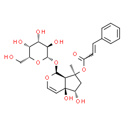 ChemSpider 2D Image | (4aS,5S,7S,7aR)-1-(beta-D-Galactopyranosyloxy)-4a,5-dihydroxy-7-methyl-1,4a,5,6,7,7a-hexahydrocyclopenta[c]pyran-7-yl (2E)-3-phenylacrylate | C24H30O11