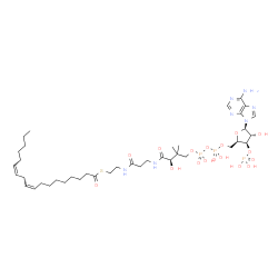 ChemSpider 2D Image | S-{(9R)-1-[(2R,3R,4R,5R)-5-(6-Amino-9H-purin-9-yl)-4-hydroxy-3-(phosphonooxy)tetrahydro-2-furanyl]-3,5,9-trihydroxy-8,8-dimethyl-3,5-dioxido-10,14-dioxo-2,4,6-trioxa-11,15-diaza-3lambda~5~,5lambda~5~-
diphosphaheptadecan-17-yl} (9Z,12Z)-9,12-octadecadienethioate (non-preferred name) | C39H66N7O17P3S
