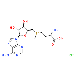 ChemSpider 2D Image | [(3S)-3-Amino-3-carboxypropyl]{[(2S,3R,4R,5R)-5-(6-amino-9H-purin-9-yl)-3,4-dihydroxytetrahydro-2-furanyl]methyl}methylsulfonium chloride (non-preferred name) | C15H23ClN6O5S