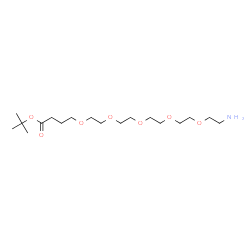 ChemSpider 2D Image | 2-Methyl-2-propanyl 1-amino-3,6,9,12,15-pentaoxanonadecan-19-oate | C18H37NO7