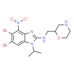 ChemSpider 2D Image | 5,6-Dibromo-1-isopropyl-N-(2-morpholinylmethyl)-4-nitro-1H-benzimidazol-2-amine | C15H19Br2N5O3