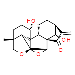 ChemSpider 2D Image | (2S,5R,8R,10R,11S,14S,17S,18R,20S)-2,20-Dihydroxy-5-methyl-13-methylene-7,9-dioxahexacyclo[8.7.2.1~11,14~.0~1,8~.0~5,18~.0~11,17~]icosan-12-one | C20H26O5