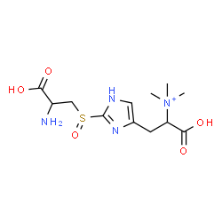 ChemSpider 2D Image | 2-{2-[(2-Amino-2-carboxyethyl)sulfinyl]-1H-imidazol-4-yl}-1-carboxy-N,N,N-trimethylethanaminium | C12H21N4O5S
