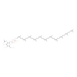 ChemSpider 2D Image | 2-Acetamido-2-deoxy-1-O-{hydroxy[(hydroxy{[(2Z,6Z,10Z,14Z,18Z,22Z,26Z,30Z,34E,38E)-3,7,11,15,19,23,27,31,35,39,43-undecamethyl-2,6,10,14,18,22,26,30,34,38,42-tetratetracontaundecaen-1-yl]oxy}phosphory
l)oxy]phosphoryl}hexopyranose | C63H105NO12P2