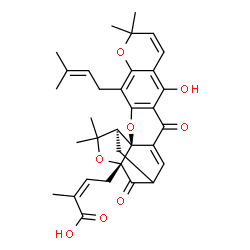 ChemSpider 2D Image | (2Z)-4-[(1S,2S,19R)-12-Hydroxy-8,8,21,21-tetramethyl-5-(3-methyl-2-buten-1-yl)-14,18-dioxo-3,7,20-trioxahexacyclo[15.4.1.0~2,15~.0~2,19~.0~4,13~.0~6,11~]docosa-4(13),5,9,11,15-pentaen-19-yl]-2-methyl-
2-butenoic acid | C33H36O8