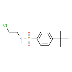 ChemSpider 2D Image | 4-tert-butyl-N-(2-chloroethyl)benzenesulfonamide | C12H18ClNO2S