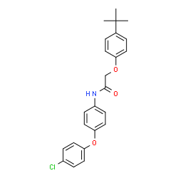 ChemSpider 2D Image | N-[4-(4-Chlorophenoxy)phenyl]-2-[4-(2-methyl-2-propanyl)phenoxy]acetamide | C24H24ClNO3