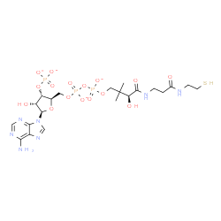 ChemSpider 2D Image | Adenosine, 5'-O-[hydroxy[[hydroxy[(3S)-3-hydroxy-4-[[3-[(2-mercaptoethyl)amino]-3-oxopropyl]amino]-2,2-dimethyl-4-oxobutoxy]phosphinyl]oxy]phosphinyl]-, 3'-(dihydrogen phosphate), ion(4-) | C21H32N7O16P3S