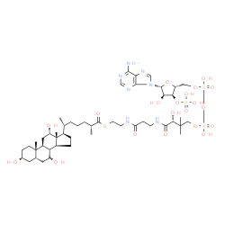 ChemSpider 2D Image | S-{(9R)-1-[(2R,3S,4R,5R)-5-(6-Amino-9H-purin-9-yl)-4-hydroxy-3-(phosphonooxy)tetrahydro-2-furanyl]-3,5,9-trihydroxy-8,8-dimethyl-3,5-dioxido-10,14-dioxo-2,4,6-trioxa-11,15-diaza-3lambda~5~,5lambda~5~-
diphosphaheptadecan-17-yl} (2R,6R)-2-methyl-6-[(3R,5S,7R,8R,9S,10S,12S,13R,14S,17R)-3,7,12-trihydroxy-10,13-dimethylhexadecahydro-1H-cyclopenta[a]phenanthren-17-yl]heptanethioate | C48H80N7O20P3S