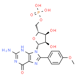 ChemSpider 2D Image | 8-(4-Methoxyphenyl)guanosine 5'-(dihydrogen phosphate) | C17H20N5O9P