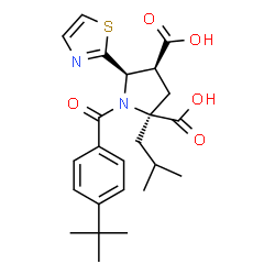 ChemSpider 2D Image | (2S,4S,5R)-1-(4-TERT-BUTYLBENZOYL)-2-ISOBUTYL-5-(1,3-THIAZOL-2-YL)PYRROLIDINE-2,4-DICARBOXYLIC ACID | C24H30N2O5S