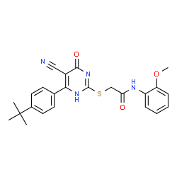 ChemSpider 2D Image | 2-{[4-(4-tert-Butylphenyl)-5-cyano-6-oxo-1,6-dihydropyrimidin-2-yl]sulfanyl}-N-(2-methoxyphenyl)acetamide | C24H24N4O3S