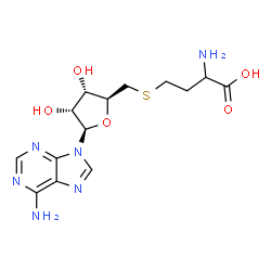 ChemSpider 2D Image | 2-Amino-4-({[(2S,3S,4R,5R)-5-(6-amino-9H-purin-9-yl)-3,4-dihydroxytetrahydro-2-furanyl]methyl}sulfanyl)butanoic acid | C14H20N6O5S