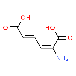 ChemSpider 2D Image | (2E,4E)-2-Amino-2,4-hexadienedioic acid | C6H7NO4