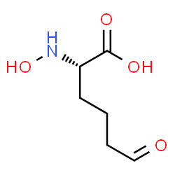 ChemSpider 2D Image | N-Hydroxy-6-oxo-L-norleucine | C6H11NO4