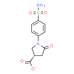 ChemSpider 2D Image | (3S)-5-Oxo-1-(4-sulfamoylphenyl)-3-pyrrolidinecarboxylate | C11H11N2O5S