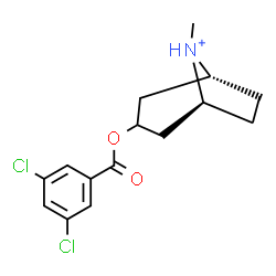 ChemSpider 2D Image | (1R,5S)-3-[(3,5-Dichlorobenzoyl)oxy]-8-methyl-8-azoniabicyclo[3.2.1]octane | C15H18Cl2NO2