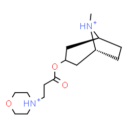 ChemSpider 2D Image | (1R,5S)-8-Methyl-3-{[3-(morpholin-4-ium-4-yl)propanoyl]oxy}-8-azoniabicyclo[3.2.1]octane | C15H28N2O3