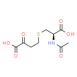 ChemSpider 2D Image | N-acetyl-S-(3-oxo-3-carboxy-n-propyl)cysteine | C9H13NO6S