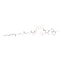 ChemSpider 2D Image | 2-trans,4-trans-Octadienoyl-CoA | C29H46N7O17P3S